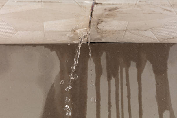 Professional Structural Drying technician working in Alto, MI